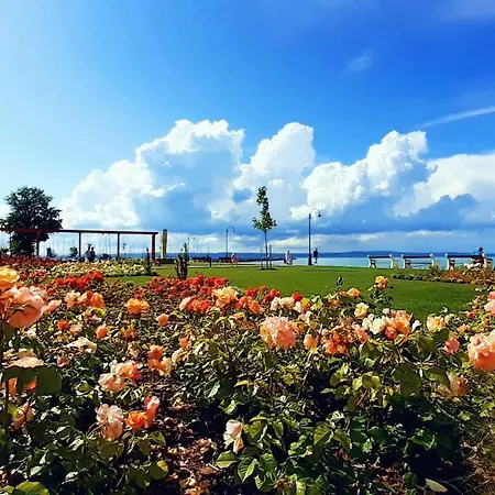 Apartman Alinda 1